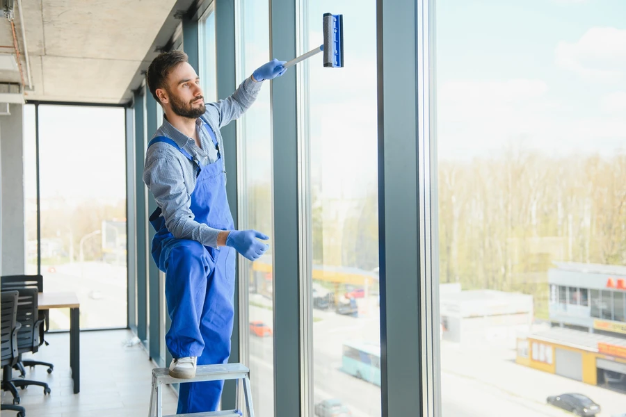 Professional Deep Cleaning